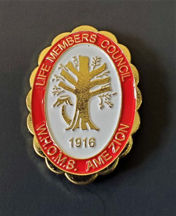 WHOMS Life Members Pin