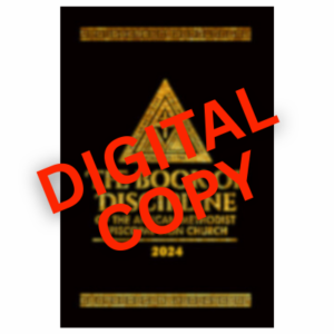 Digital 2024 Book of Discipline